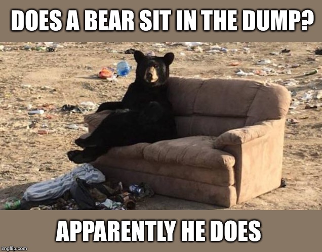 Bearly Comfortable | DOES A BEAR SIT IN THE DUMP? APPARENTLY HE DOES | image tagged in bears,funny animals,silly,memes | made w/ Imgflip meme maker