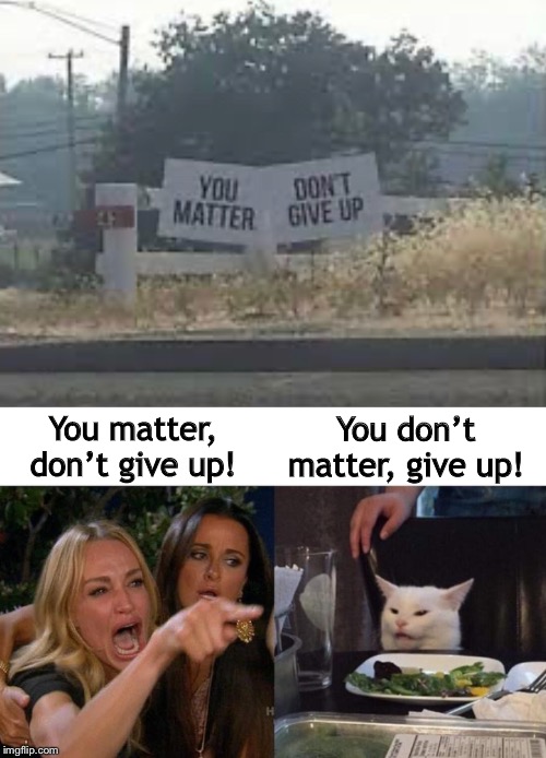 You don’t matter, give up! You matter, don’t give up! | image tagged in memes,woman yelling at cat | made w/ Imgflip meme maker