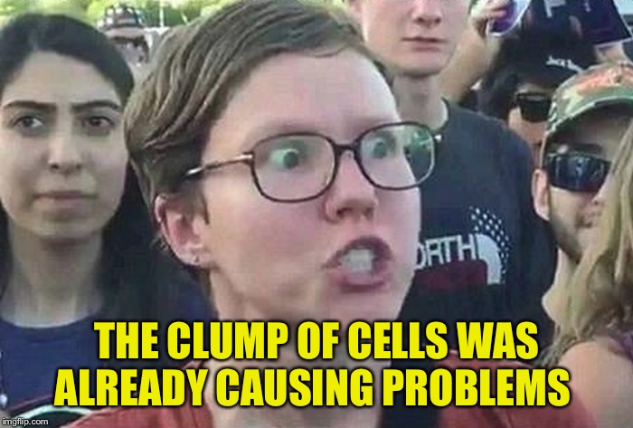 Triggered Liberal | THE CLUMP OF CELLS WAS ALREADY CAUSING PROBLEMS | image tagged in triggered liberal | made w/ Imgflip meme maker
