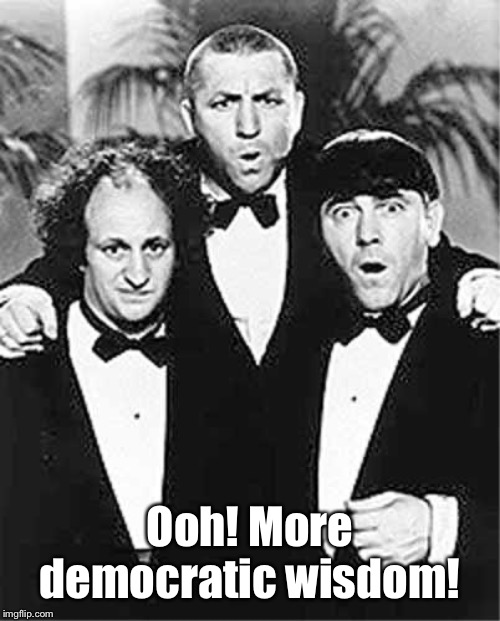 The Three Stooges | Ooh! More democratic wisdom! | image tagged in the three stooges | made w/ Imgflip meme maker