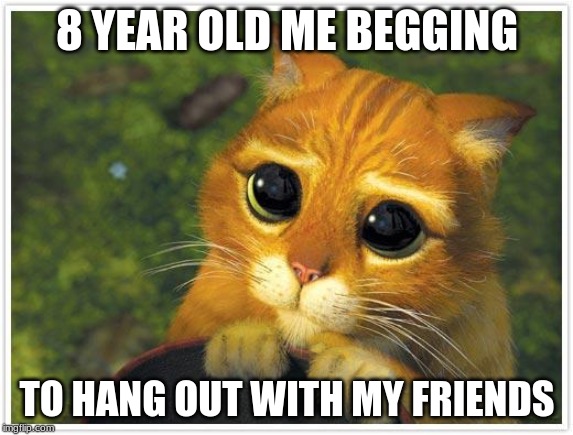 Shrek Cat Meme | 8 YEAR OLD ME BEGGING; TO HANG OUT WITH MY FRIENDS | image tagged in memes,shrek cat | made w/ Imgflip meme maker