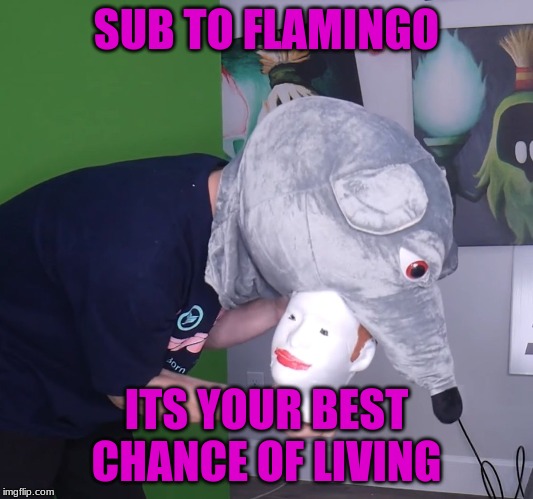 SUB TO FLAMINGO; ITS YOUR BEST CHANCE OF LIVING | image tagged in flamingo | made w/ Imgflip meme maker
