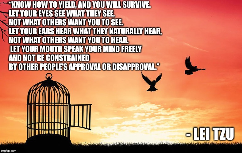 Freedom | “KNOW HOW TO YIELD, AND YOU WILL SURVIVE. 
LET YOUR EYES SEE WHAT THEY SEE, 

NOT WHAT OTHERS WANT YOU TO SEE. 
LET YOUR EARS HEAR WHAT THEY NATURALLY HEAR, 
NOT WHAT OTHERS WANT YOU TO HEAR.
 LET YOUR MOUTH SPEAK YOUR MIND FREELY 
AND NOT BE CONSTRAINED 
BY OTHER PEOPLE'S APPROVAL OR DISAPPROVAL.”; - LEI TZU | image tagged in freedom | made w/ Imgflip meme maker