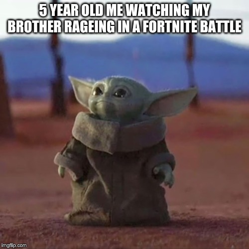 Baby Yoda | 5 YEAR OLD ME WATCHING MY BROTHER RAGEING IN A FORTNITE BATTLE | image tagged in baby yoda | made w/ Imgflip meme maker