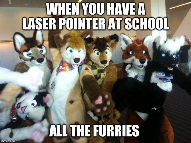 Furries | WHEN YOU HAVE A LASER POINTER AT SCHOOL; ALL THE FURRIES | image tagged in furries | made w/ Imgflip meme maker