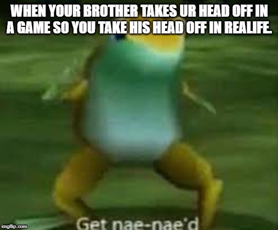 Get Nae-Naed | WHEN YOUR BROTHER TAKES UR HEAD OFF IN A GAME SO YOU TAKE HIS HEAD OFF IN REALIFE. | image tagged in get nae-naed | made w/ Imgflip meme maker