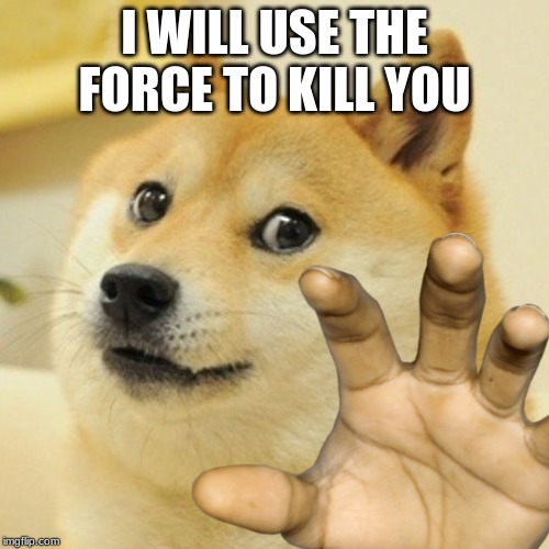 doge reach | I WILL USE THE FORCE TO KILL YOU | image tagged in doge reach | made w/ Imgflip meme maker