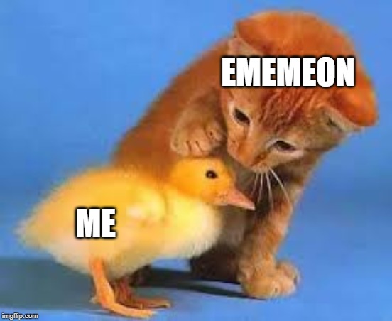 Me and Ememeon | EMEMEON; ME | image tagged in cats,ducks,cute | made w/ Imgflip meme maker