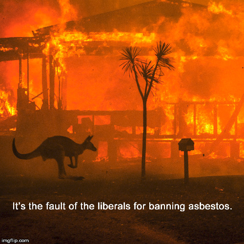Liberals fault again | image tagged in climate change,global warming,fire,australia,liberals,kangaroo | made w/ Imgflip meme maker