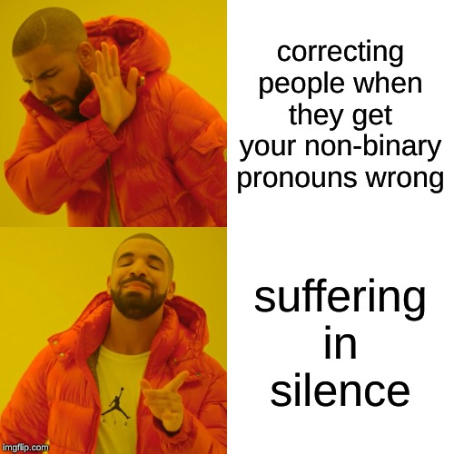 Drake Hotline Bling Meme | correcting people when they get your non-binary pronouns wrong; suffering in silence | image tagged in memes,drake hotline bling | made w/ Imgflip meme maker