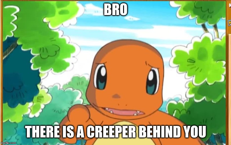 Bro Charmander | BRO; THERE IS A CREEPER BEHIND YOU | image tagged in bro charmander | made w/ Imgflip meme maker