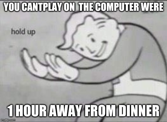 Fallout Hold Up | YOU CANTPLAY ON  THE COMPUTER WERE; 1 HOUR AWAY FROM DINNER | image tagged in fallout hold up | made w/ Imgflip meme maker