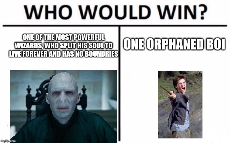 Who Would Win? Meme | ONE OF THE MOST POWERFUL WIZARDS, WHO SPLIT HIS SOUL TO LIVE FOREVER AND HAS NO BOUNDRIES; ONE ORPHANED BOI | image tagged in memes,who would win | made w/ Imgflip meme maker