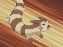 Angry Furret Blank Meme Template