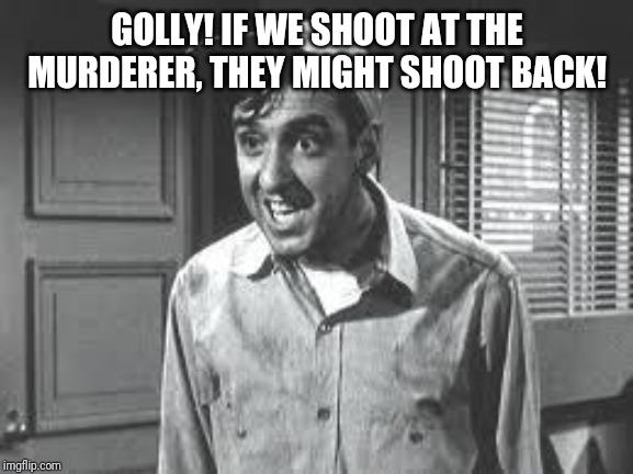 Gomer Pyle | GOLLY! IF WE SHOOT AT THE MURDERER, THEY MIGHT SHOOT BACK! | image tagged in gomer pyle | made w/ Imgflip meme maker