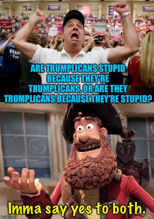 Which is it? | ARE TRUMPLICANS STUPID BECAUSE THEY'RE TRUMPLICANS, OR ARE THEY TRUMPLICANS BECAUSE THEY'RE STUPID? Imma say yes to both. | image tagged in trump supporter triggered,well yes but actually no | made w/ Imgflip meme maker