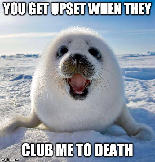 cute seal | YOU GET UPSET WHEN THEY CLUB ME TO DEATH | image tagged in cute seal | made w/ Imgflip meme maker