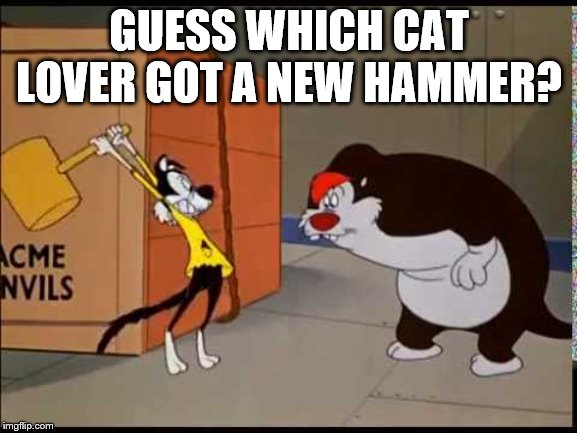 140,000 points achieved | GUESS WHICH CAT LOVER GOT A NEW HAMMER? | image tagged in hammer cats,cats,cat | made w/ Imgflip meme maker