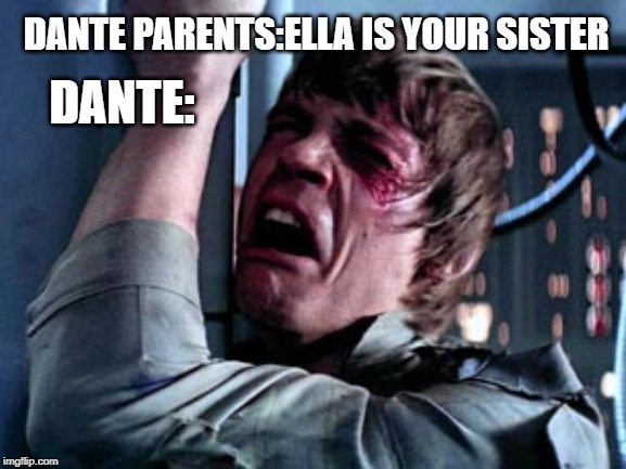Luke Skywalker Noooo | DANTE:; DANTE PARENTS:ELLA IS YOUR SISTER | image tagged in luke skywalker noooo | made w/ Imgflip meme maker