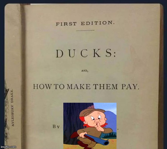 I don’t really know what those ducks did. | image tagged in ducks,elmer fudd,memes,funny | made w/ Imgflip meme maker