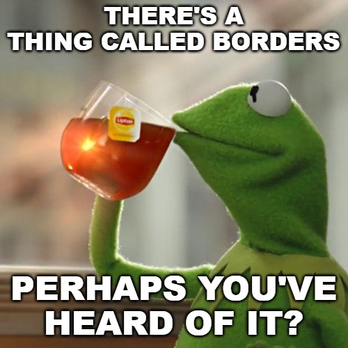 But That's None Of My Business Meme | THERE'S A THING CALLED BORDERS PERHAPS YOU'VE HEARD OF IT? | image tagged in memes,but thats none of my business,kermit the frog | made w/ Imgflip meme maker