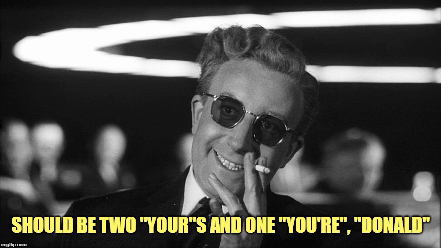 Doctor Strangelove says... | SHOULD BE TWO "YOUR"S AND ONE "YOU'RE", "DONALD" | image tagged in doctor strangelove says | made w/ Imgflip meme maker