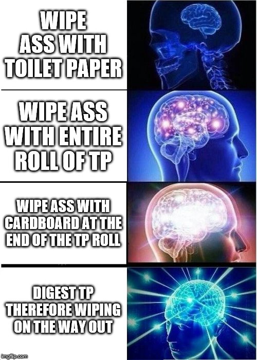Expanding Brain Meme | WIPE ASS WITH TOILET PAPER; WIPE ASS WITH ENTIRE ROLL OF TP; WIPE ASS WITH CARDBOARD AT THE END OF THE TP ROLL; DIGEST TP THEREFORE WIPING ON THE WAY OUT | image tagged in memes,expanding brain | made w/ Imgflip meme maker