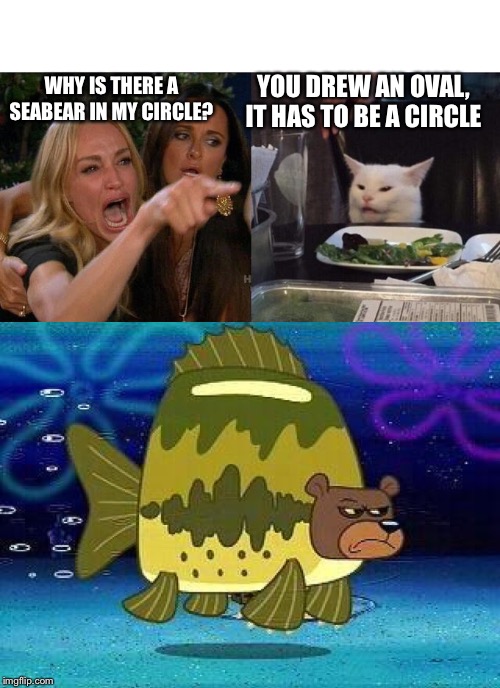 YOU DREW AN OVAL, IT HAS TO BE A CIRCLE; WHY IS THERE A SEABEAR IN MY CIRCLE? | image tagged in memes,woman yelling at cat | made w/ Imgflip meme maker