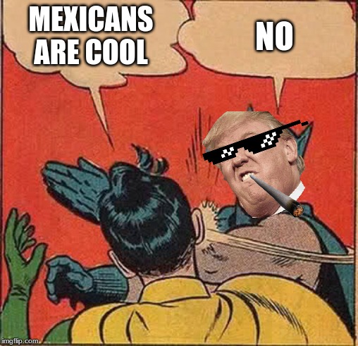 Batman Slapping Robin | MEXICANS ARE COOL; NO | image tagged in memes,batman slapping robin | made w/ Imgflip meme maker