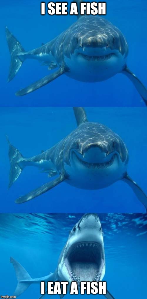 Bad Shark Pun  | I SEE A FISH; I EAT A FISH | image tagged in bad shark pun | made w/ Imgflip meme maker