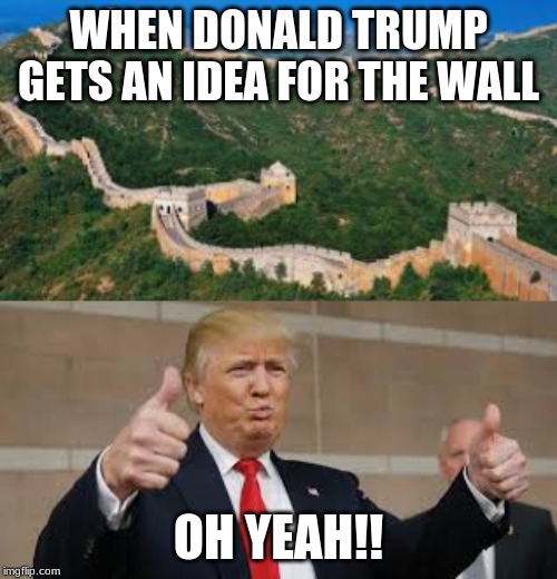 ideas for the wall | WHEN DONALD TRUMP GETS AN IDEA FOR THE WALL; OH YEAH!! | image tagged in donald trump | made w/ Imgflip meme maker