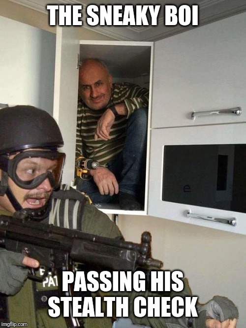Man hiding in cubboard from SWAT template | THE SNEAKY BOI; PASSING HIS STEALTH CHECK | image tagged in man hiding in cubboard from swat template,dungeons and dragons | made w/ Imgflip meme maker