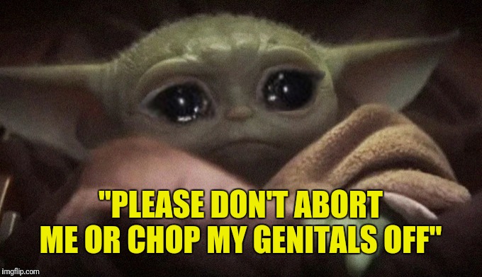 Baby Yoda's plea to the feminists | "PLEASE DON'T ABORT ME OR CHOP MY GENITALS OFF" | image tagged in crying baby yoda | made w/ Imgflip meme maker
