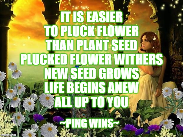 bird flowers beauty romance | IT IS EASIER
TO PLUCK FLOWER
THAN PLANT SEED
PLUCKED FLOWER WITHERS
NEW SEED GROWS
LIFE BEGINS ANEW
ALL UP TO YOU; ~PING WINS~ | image tagged in bird flowers beauty romance | made w/ Imgflip meme maker