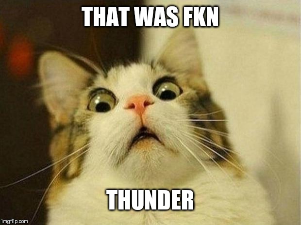 Scared Cat Meme | THAT WAS FKN; THUNDER | image tagged in memes,scared cat | made w/ Imgflip meme maker