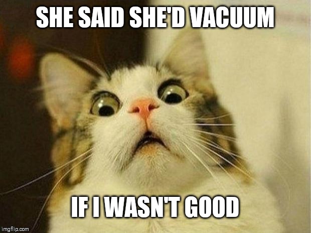 Scared Cat | SHE SAID SHE'D VACUUM; IF I WASN'T GOOD | image tagged in memes,scared cat | made w/ Imgflip meme maker