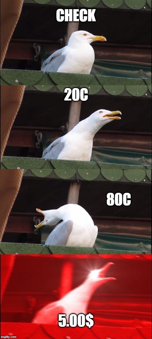 Inhaling Seagull Meme | CHECK; 20C; 80C; 5.00$ | image tagged in memes,inhaling seagull | made w/ Imgflip meme maker