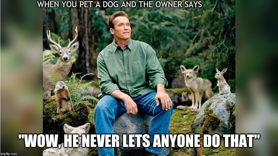 nature | WHEN YOU PET A DOG AND THE OWNER SAYS; "WOW, HE NEVER LETS ANYONE DO THAT" | image tagged in nature | made w/ Imgflip meme maker