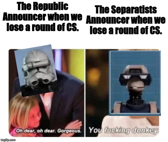 Gordon Ramsay | The Separatists Announcer when we lose a round of CS. The Republic Announcer when we lose a round of CS. | image tagged in gordon ramsay | made w/ Imgflip meme maker