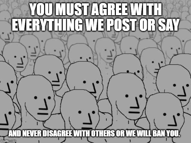 Npc crowd | YOU MUST AGREE WITH EVERYTHING WE POST OR SAY; AND NEVER DISAGREE WITH OTHERS OR WE WILL BAN YOU. | image tagged in npc crowd | made w/ Imgflip meme maker