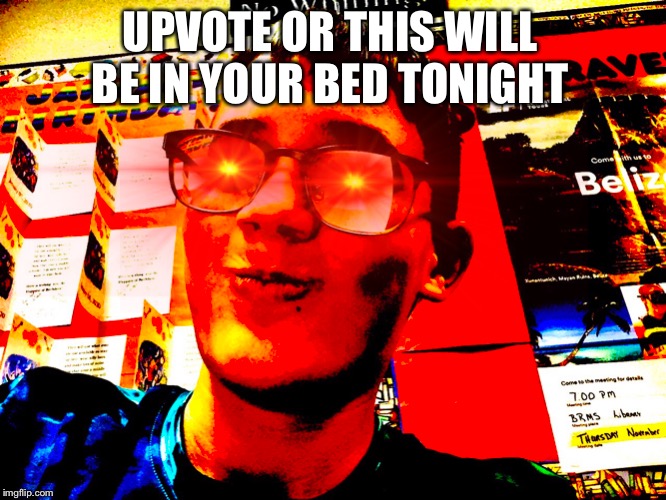UPVOTE OR THIS WILL BE IN YOUR BED TONIGHT | image tagged in upvote | made w/ Imgflip meme maker