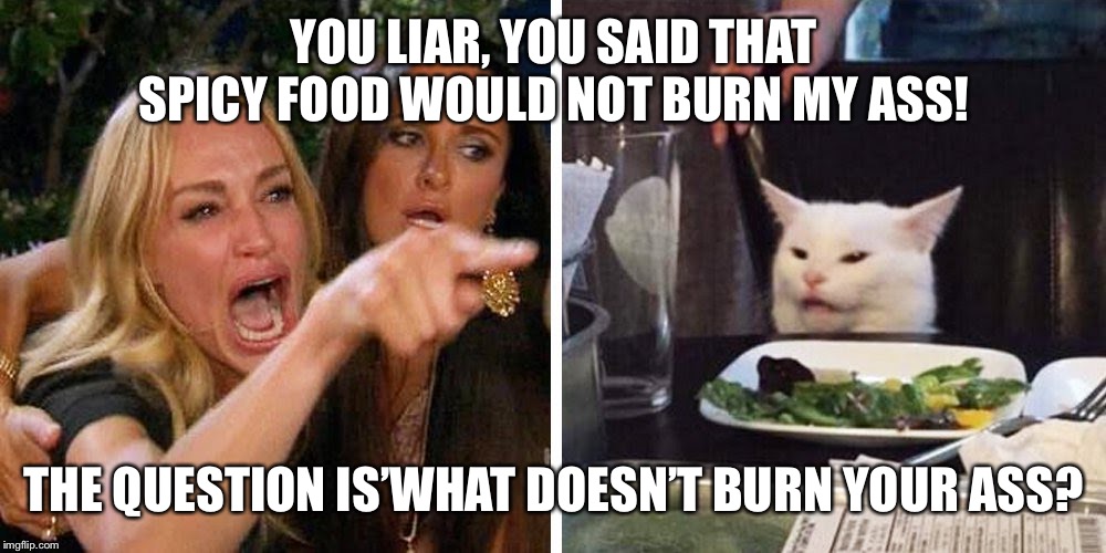Smudge the cat | YOU LIAR, YOU SAID THAT SPICY FOOD WOULD NOT BURN MY ASS! THE QUESTION IS’WHAT DOESN’T BURN YOUR ASS? | image tagged in smudge the cat | made w/ Imgflip meme maker