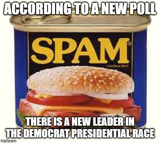 Democratic Hopeful | ACCORDING TO A NEW POLL; THERE IS A NEW LEADER IN THE DEMOCRAT PRESIDENTIAL RACE | image tagged in democrats,presidential race,memes,funny memes,congress,nancy pelosi | made w/ Imgflip meme maker