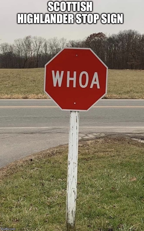 Whoa | SCOTTISH HIGHLANDER STOP SIGN | image tagged in whoa | made w/ Imgflip meme maker