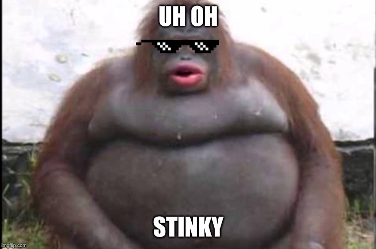 stinky | UH OH; STINKY | image tagged in stinky | made w/ Imgflip meme maker