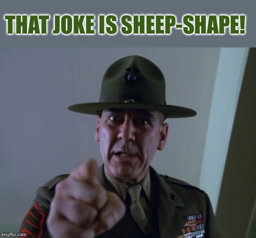 sarge  | THAT JOKE IS SHEEP-SHAPE! | image tagged in sarge | made w/ Imgflip meme maker