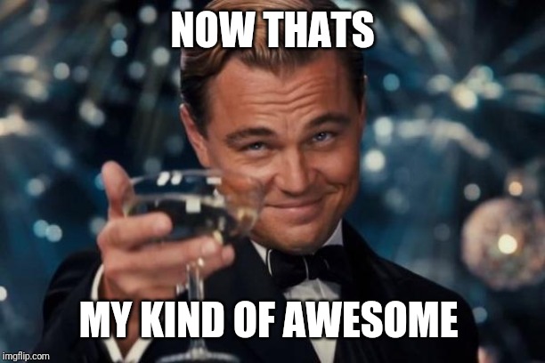 Leonardo Dicaprio Cheers Meme | NOW THATS MY KIND OF AWESOME | image tagged in memes,leonardo dicaprio cheers | made w/ Imgflip meme maker