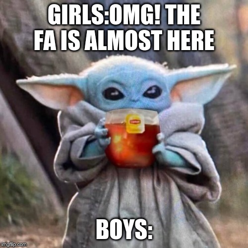 so true | GIRLS:OMG! THE FA IS ALMOST HERE; BOYS: | image tagged in so true | made w/ Imgflip meme maker