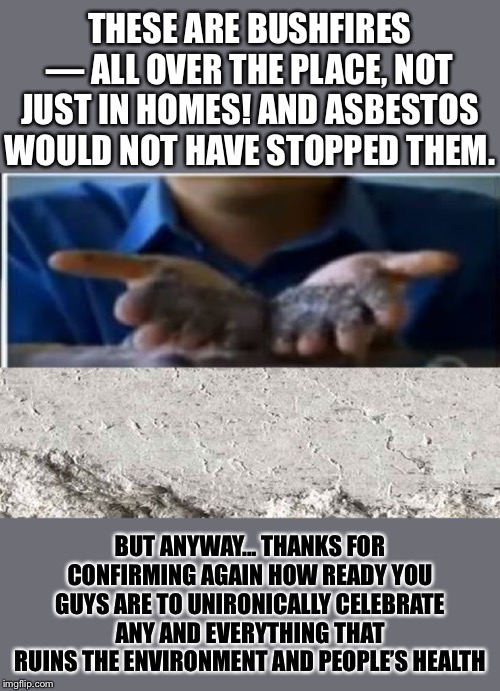 When they blame the Australian bushfires on... wait for it... banning asbestos. | THESE ARE BUSHFIRES — ALL OVER THE PLACE, NOT JUST IN HOMES! AND ASBESTOS WOULD NOT HAVE STOPPED THEM. BUT ANYWAY... THANKS FOR CONFIRMING AGAIN HOW READY YOU GUYS ARE TO UNIRONICALLY CELEBRATE ANY AND EVERYTHING THAT RUINS THE ENVIRONMENT AND PEOPLE’S HEALTH | image tagged in smart dust the new asbestos,wildfires,wildfire,climate change,global warming,australia | made w/ Imgflip meme maker