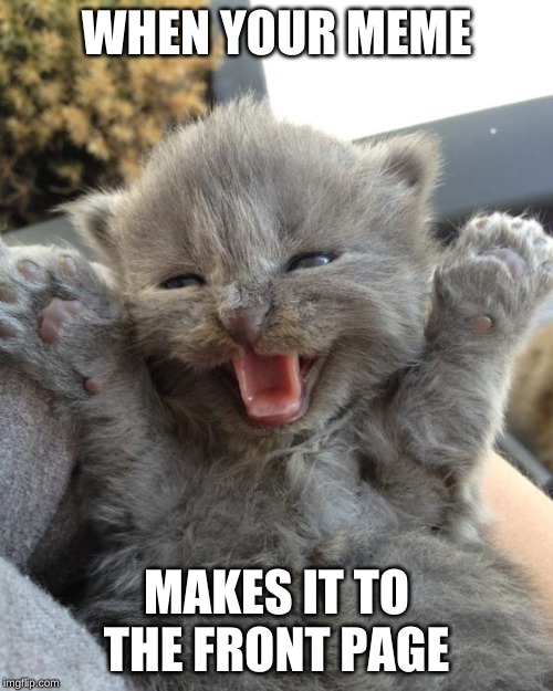 Yay Kitty | WHEN YOUR MEME; MAKES IT TO THE FRONT PAGE | image tagged in yay kitty | made w/ Imgflip meme maker